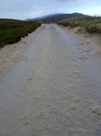 Track to Hushinish Beach, Harris by Dave Banks