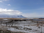 Icelandic horses, Iceland