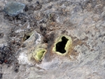 Graenavatn geothermal area, Iceland