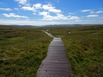 Hermaness National Nature Reserve, Shetland by Dave Banks
