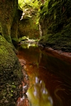 Glen Finnich Gorge, Central by Dave Banks