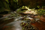 Devils Pulpit, Glen Finnich Gorge, Central by Dave Banks