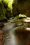 Devils Pulpit, Glen Finnich Gorge, Central by Dave Banks