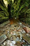 Glen Finnich Gorge, Central by Dave Banks