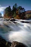 Falls of Dochart, Killin, Central by Dave Banks