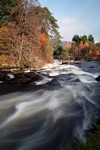 Falls of Dochart, Killin, Central by Dave Banks