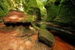 Devils Pulpit, Glen Finnich Gorge, Central by Dave Banks