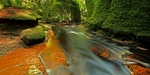 Devils Pulpit, Glen Finnich Gorge, Central by Dave Banks