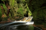 Glen Finnich Gorge, Central by Dave Banks