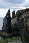 Stacks, Isle of May, Fife by Dave Banks