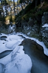 View from below Victoria Bridge, Grampian by Dave Banks