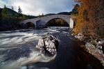 Invercauld Bridge, Grampian by Dave Banks