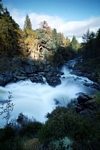 Falls of Muick, Grampian by Dave Banks
