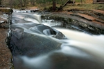 Linn of Quoich, Grampian by Dave Banks