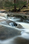 Linn of Quoich, Grampian by Dave Banks