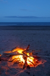 St Cyrus Beach, Grampian by Dave Banks