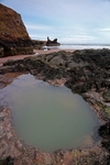 St Cyrus Beach, Grampian by Dave Banks