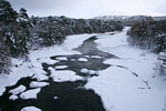 River Dee from Invercauld Bridge, Grampian by Dave Banks