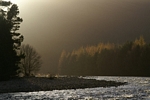 River Dee nr Braemar, Grampian by Dave Banks