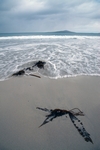 Traigh na Cleabhaig, Harris, Hebrides by Dave Banks