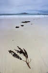 Traigh na Cleabhaig, Harris, Hebrides by Dave Banks