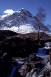 Buachaille Etive Mor, Highland by Dave Banks
