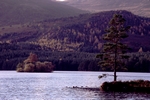 Loch an Eilein, Highland by Dave Banks
