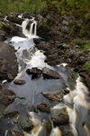 Falls of Rogie, Highland by Dave Banks