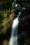 Badan Mosach, Glen Feshie, Highland by Dave Banks