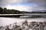 Loch Morlich, Highland by Dave Banks