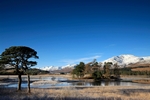 Loch Tulla, Highland by Dave Banks
