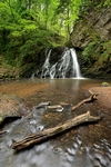 Lower falls, Fairy Glen, Rosemarkie by Dave Banks