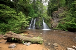 Upper falls, Fairy Glen, Rosemarkie by Dave Banks
