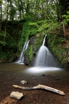 Upper falls, Fairy Glen, Rosemarkie by Dave Banks