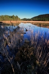 Loch Gamhna, Highland by Dave Banks