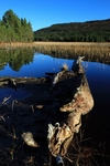 Loch Gamhna, Highland by Dave Banks
