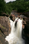 Lower Falls, Glen Nevis, Highland by Dave Banks