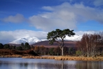 Loch Tulla, Highland by Dave Banks