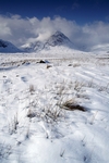 Buachaille Etive Mor, Highland by Dave Banks