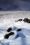 Buachaille Etive Mor, Highland by Dave Banks