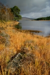 Loch Tulla, Highland by Dave Banks