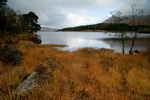 Loch Tulla, Highland by Dave Banks