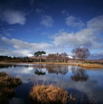 Loch Tulla, Highland by Dave Banks