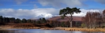 Loch Tulla, Highland by Dave Banks