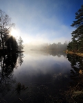 Lilly Loch, Rothiemurchas, Highland by Dave Banks