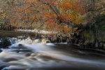 River Almond, Lothian by Dave Banks