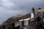 Bass Rock Lighthouse, Lothian by Dave Banks