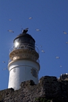 Lighthouse, Lothian by Dave Banks