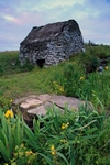 Norse water Mill, Boddam, Shetland by Dave Banks