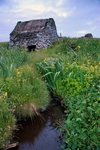 Norse water Mill, Boddam, Shetland by Dave Banks